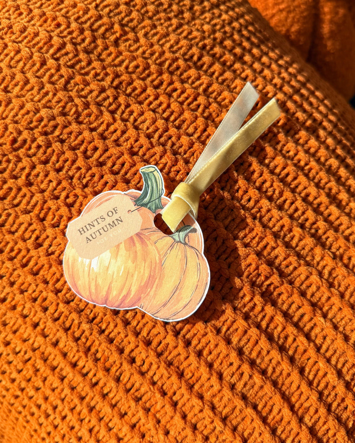 A die-cut autumn pumpkin-shaped tag with the words 'HINTS OF AUTUMN' attached to a ribbon, placed on a close-up textured orange knit fabric background.